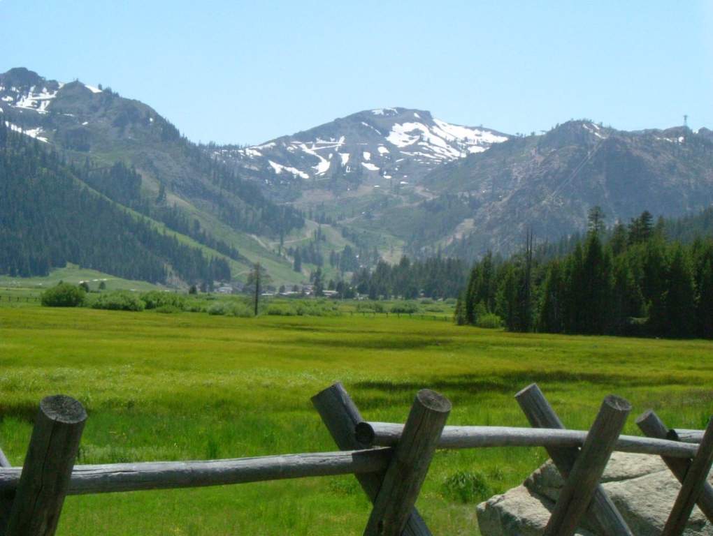 meadow-squaw-valley