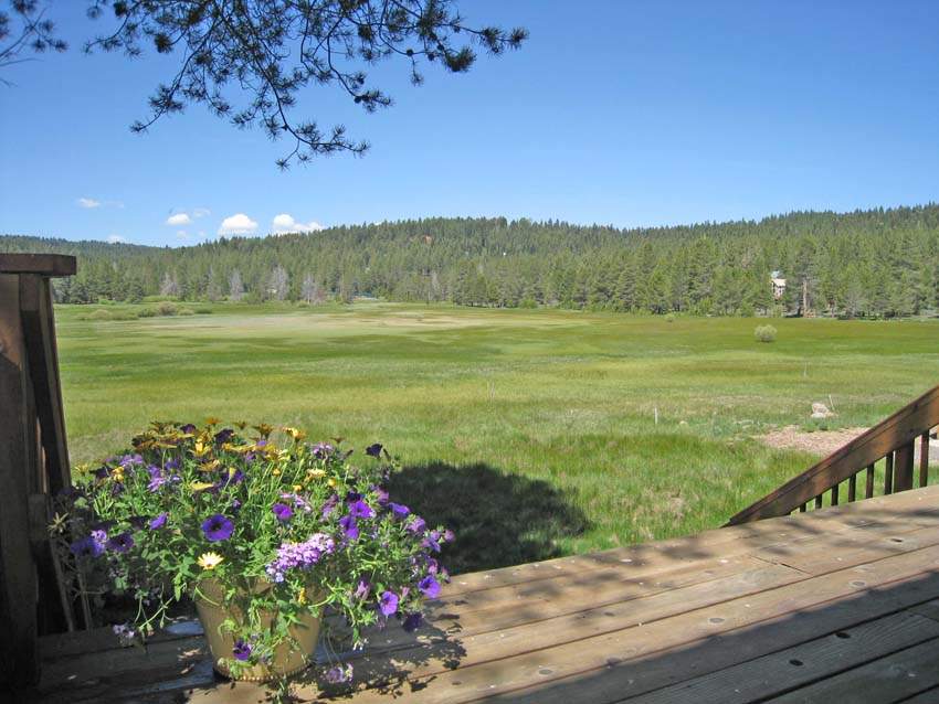 Bennet Flat meadow Tahoe Donner